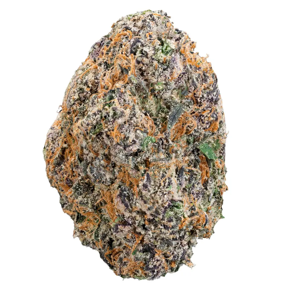 2689F4DC-1C3F-4DE9-BD1A-C9227AFF1468