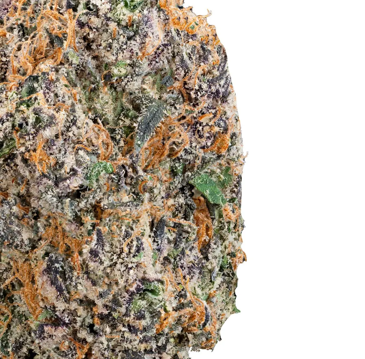 834C5E99-C9BA-483A-ACEC-F6E7ADE67F85