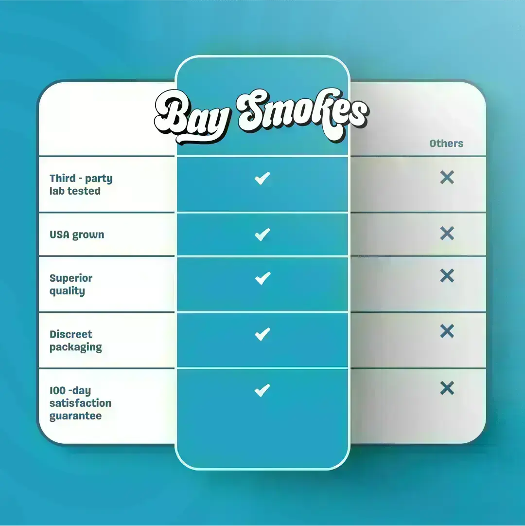 Baysmokes_Offers_61841d06-7fb0-4ca1-a212-4464d6fedbd3 (1)