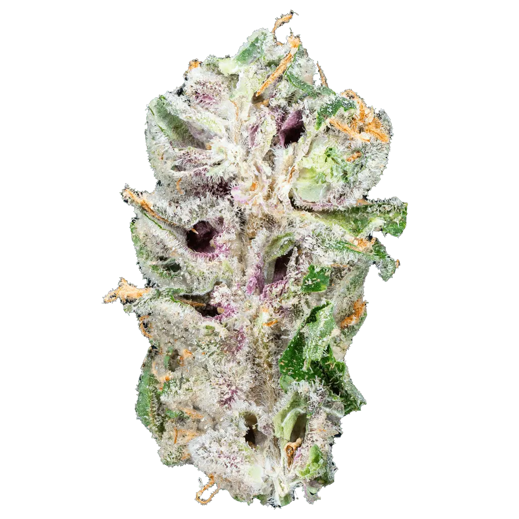 DSC00398alien-et-thca-flow