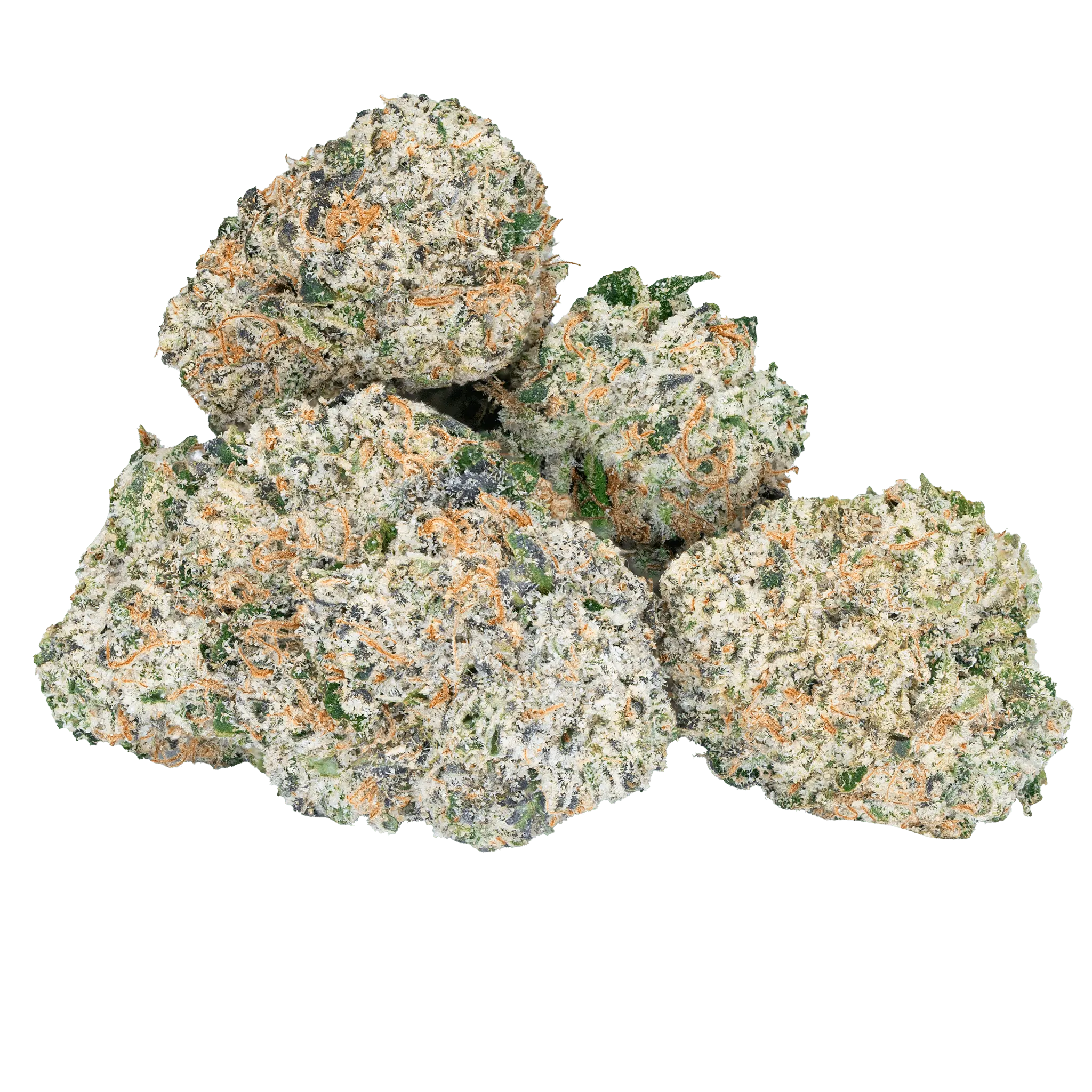 DSC01475hai-iced-tea-strain