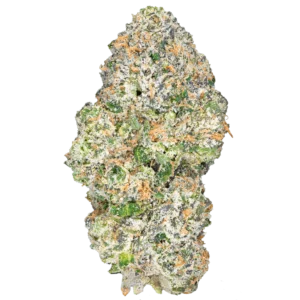 Apple Fritter THCa Flower