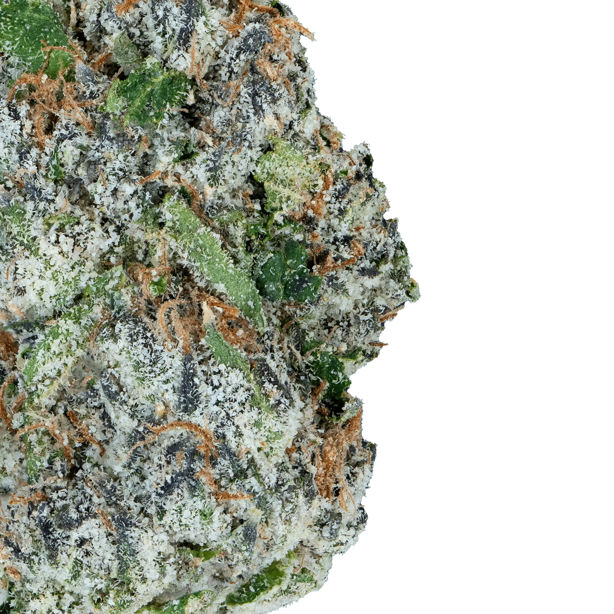 DSC064121alien-et-thca-flow