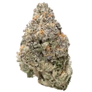 Bulk Discount Indoor Flower