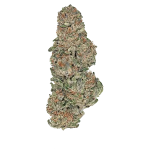 Bulk Greenhouse Flower