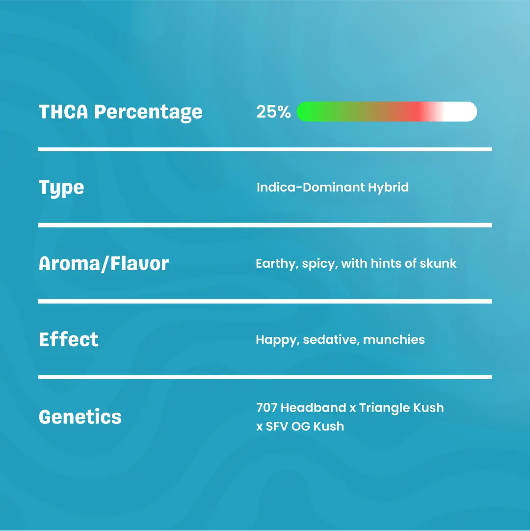 QuattroKush-THCaFlower_Specification