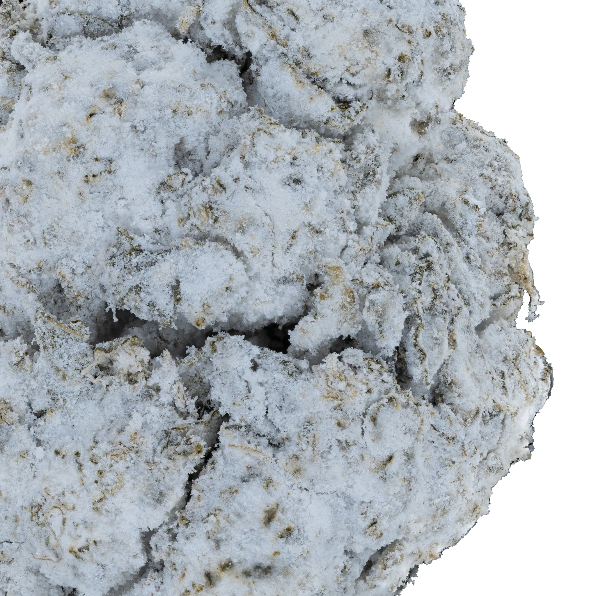 Snowballs_THCa_Flower2