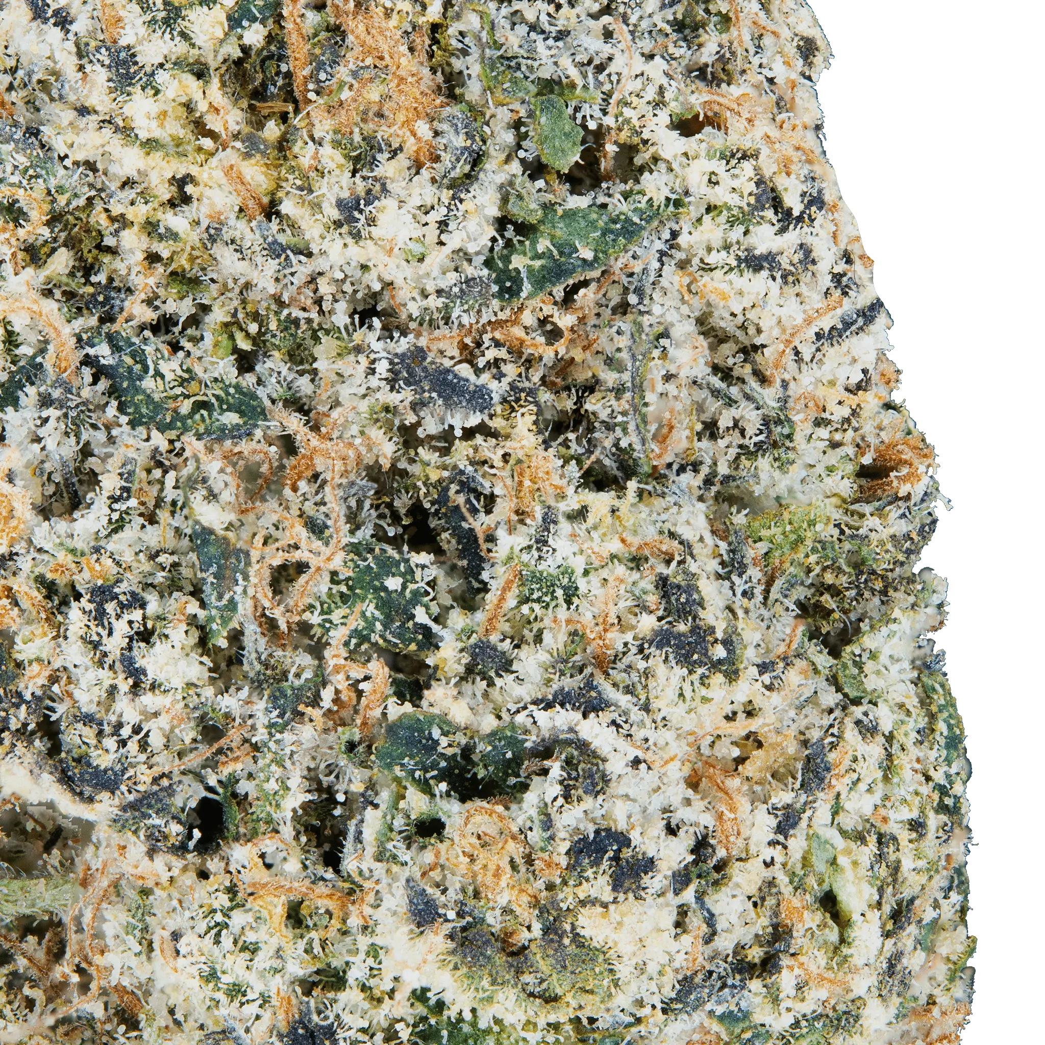 Tres-leches-thca-flower1