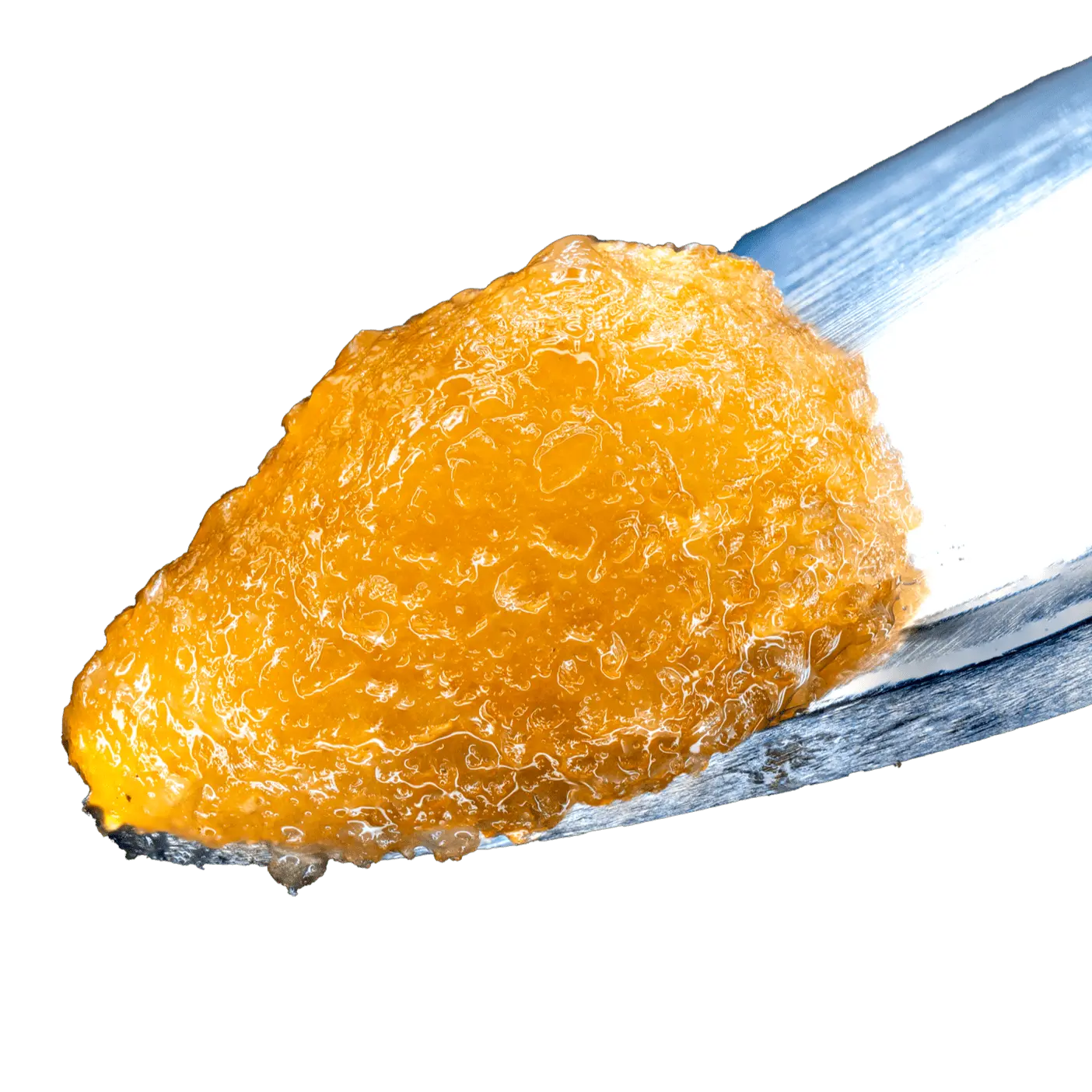 Untitled-1_885228e5-8ca4-484f-9358-99ce2340e07e