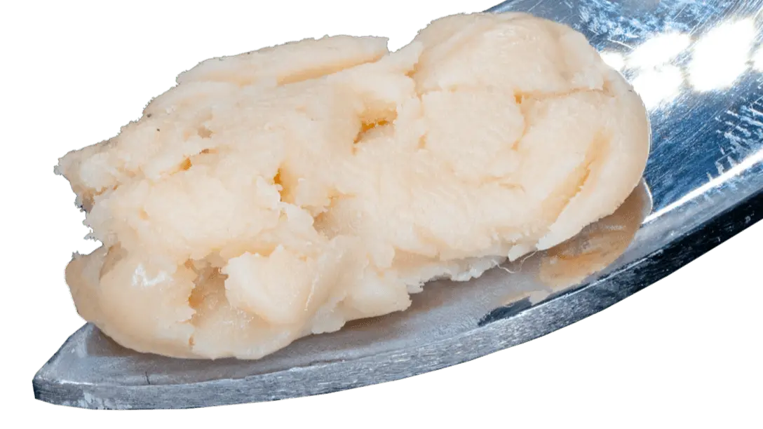 funk-mountain-thca-live-hash-rosin