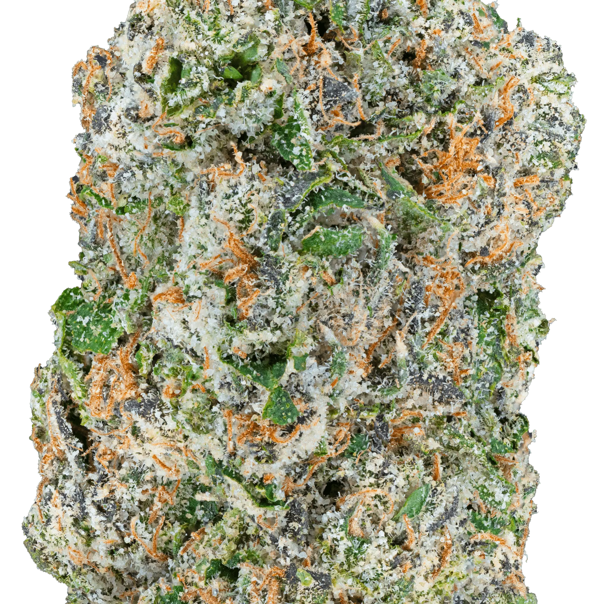 quattro-kush-thca-flower1