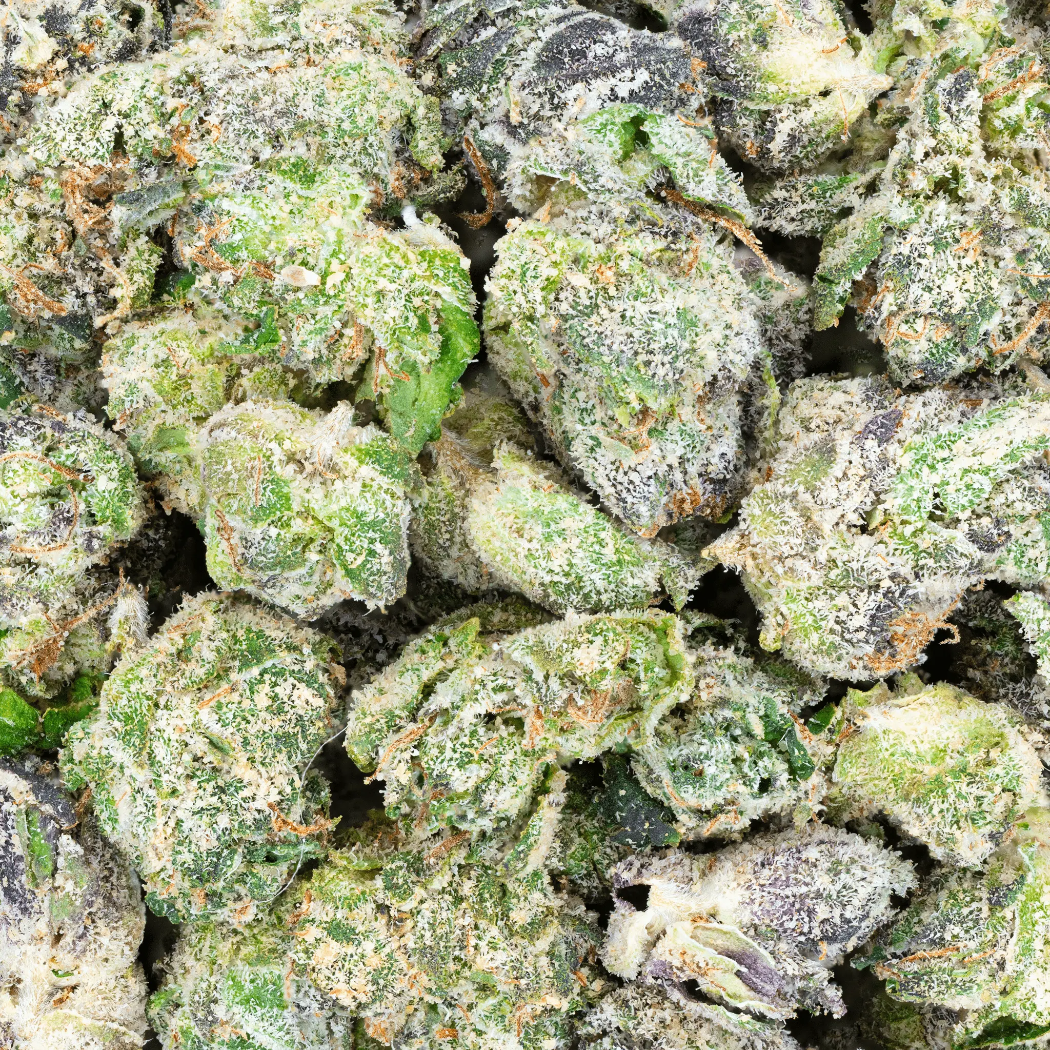 super-exotic-smalls3