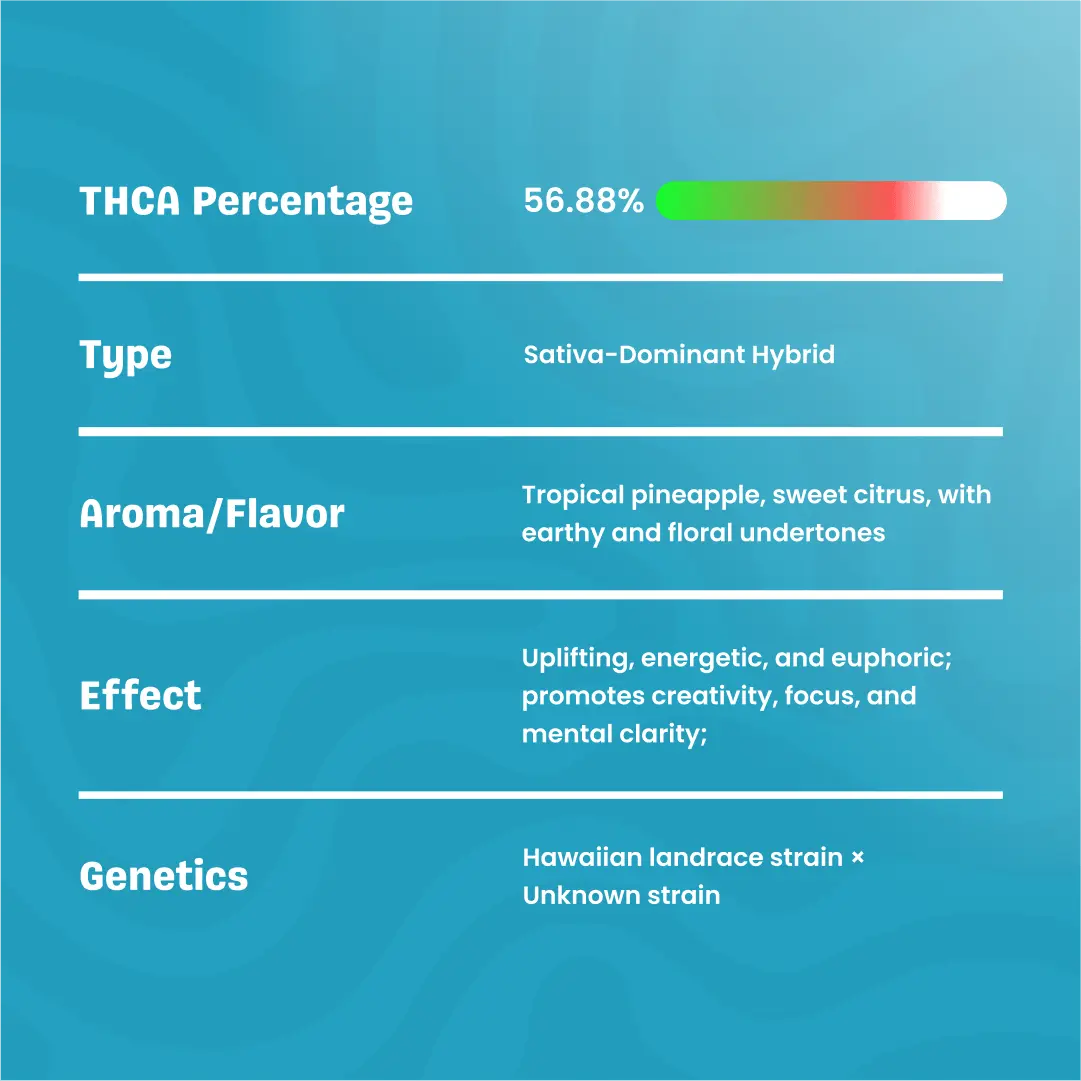thca_cartrdige_product2-jpg5