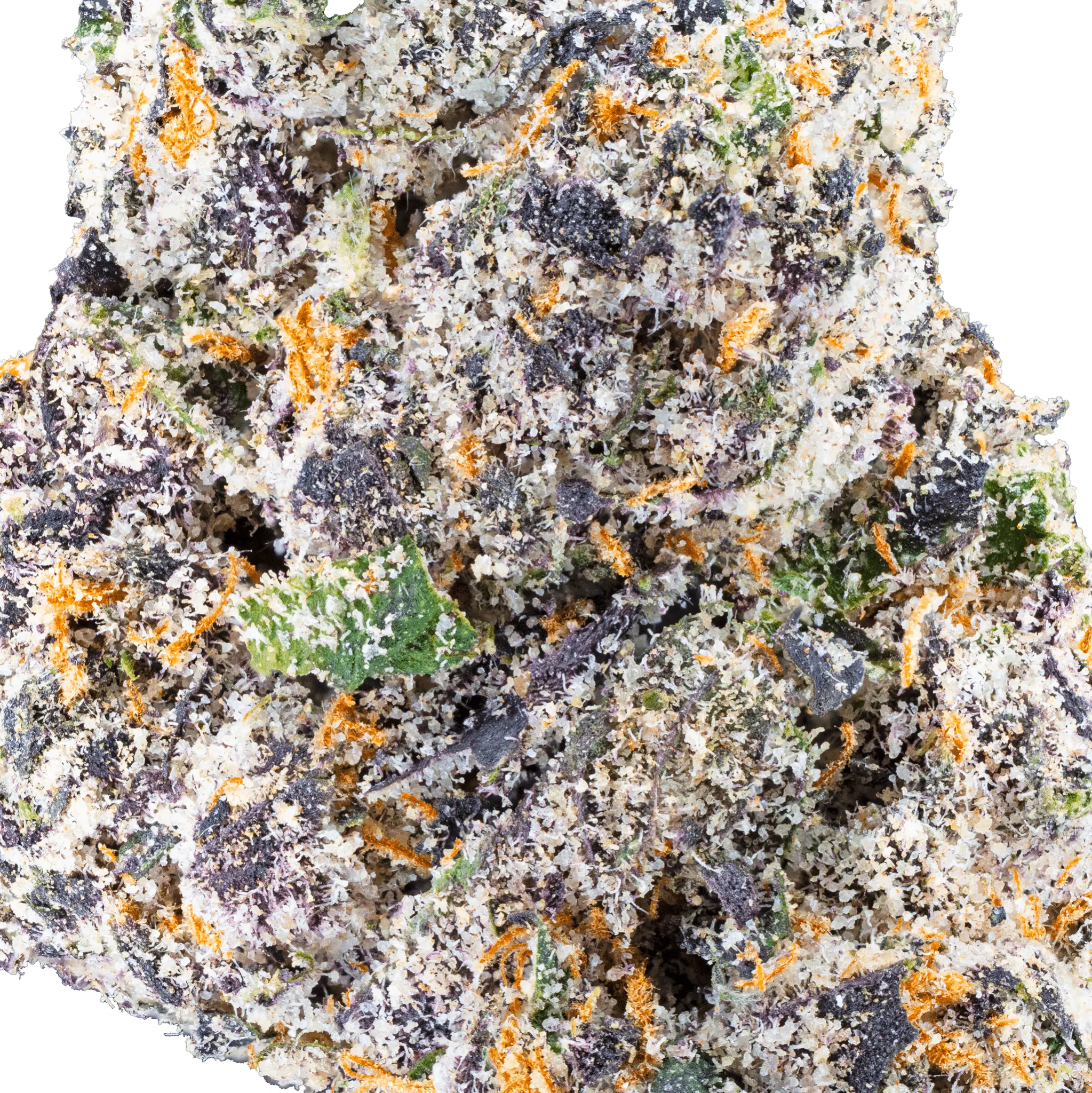 white-truffle-thca-flower1