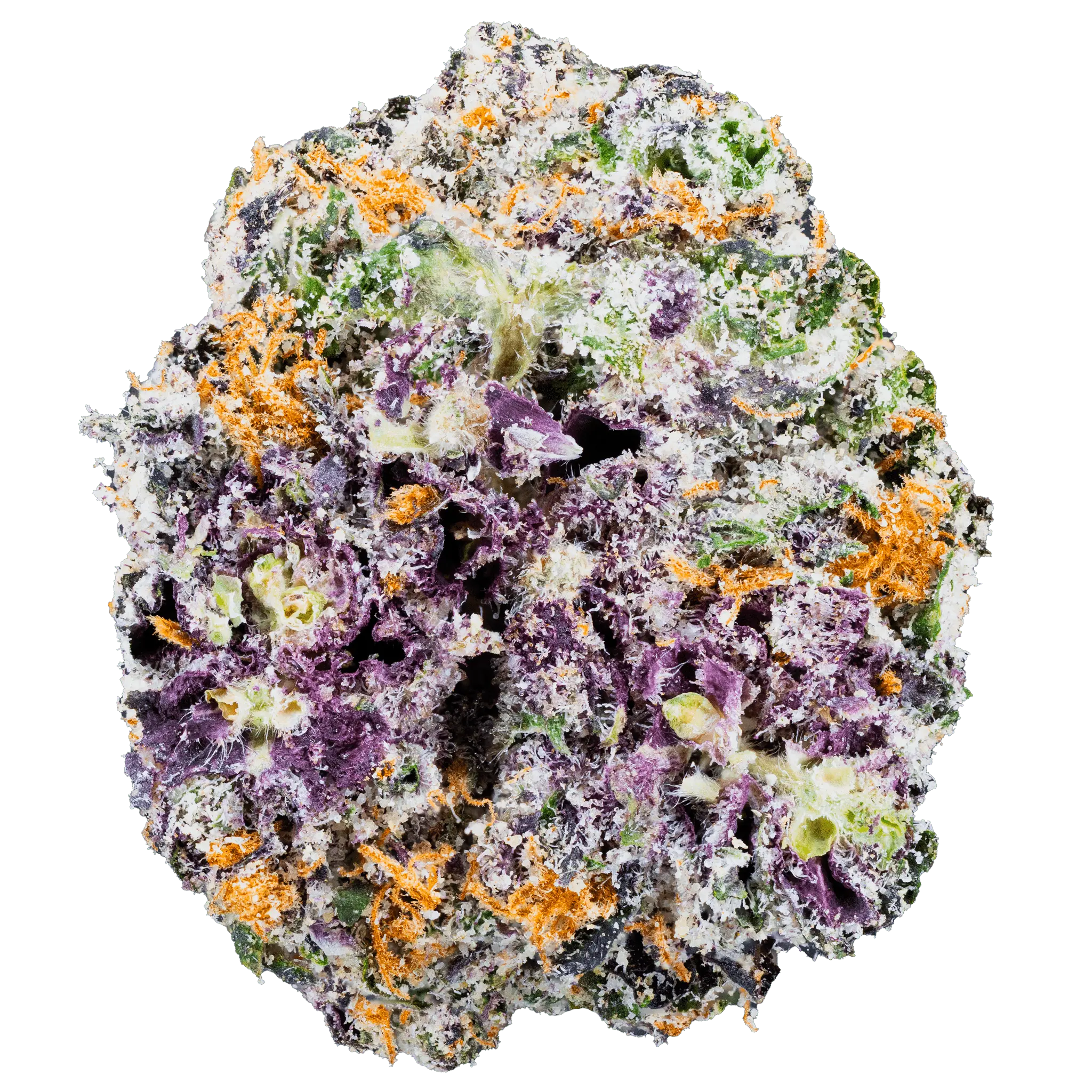 white-truffle-thca-flower2