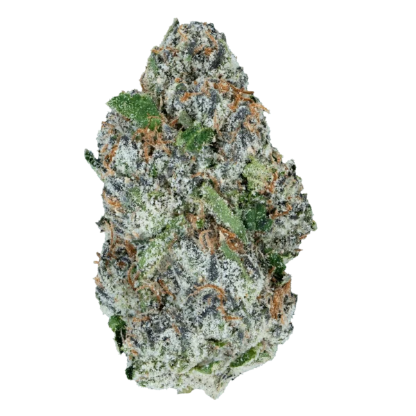 Lil Baby - Alien ET THCa