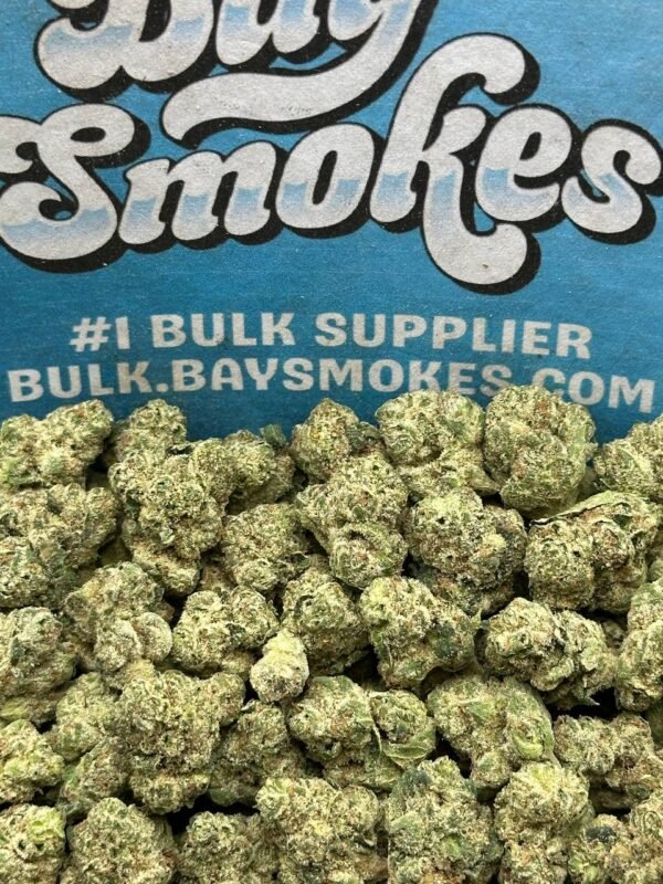 Bay Bulk Apple Fritter SM (Hybrid)